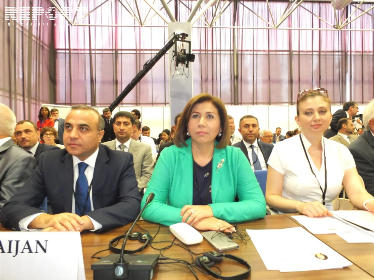 Bahar Muradova: 'Armenian aggression must be reflected in documents to be adopted by OSCE PA'