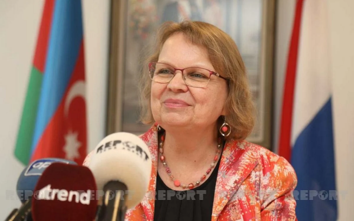 Dutch ambassador: Azerbaijan has prospects for development of wind energy