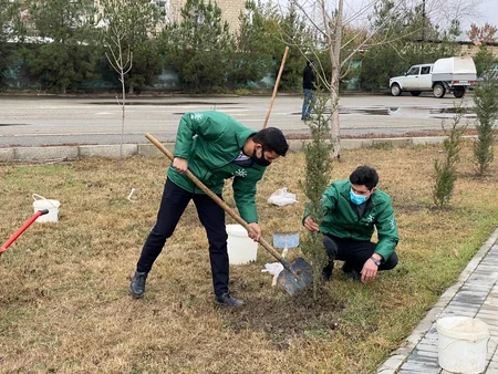 Kürdəmirdə şəhidlərin şərəfinə şam ağacları əkilib