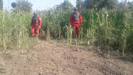 ANAMA Tovuzda 3 evin həyətini mərmilərdən təmizlədi