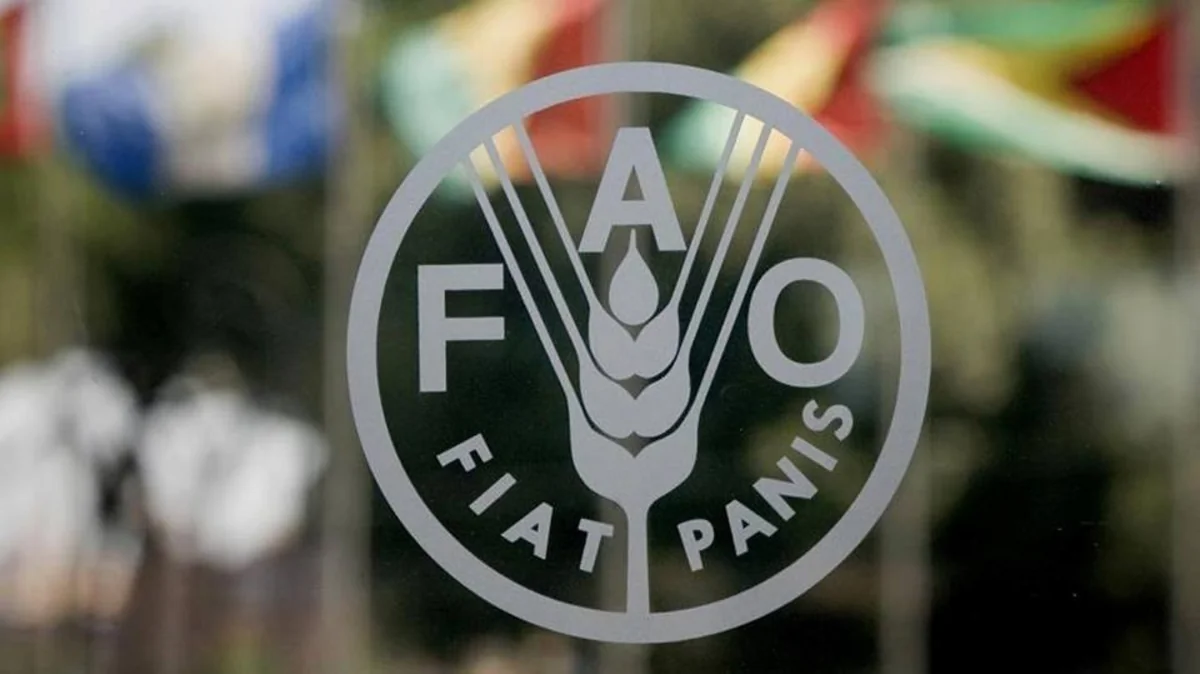 FAO Azərbaycanda yeni layihənin icrasına başlayıb