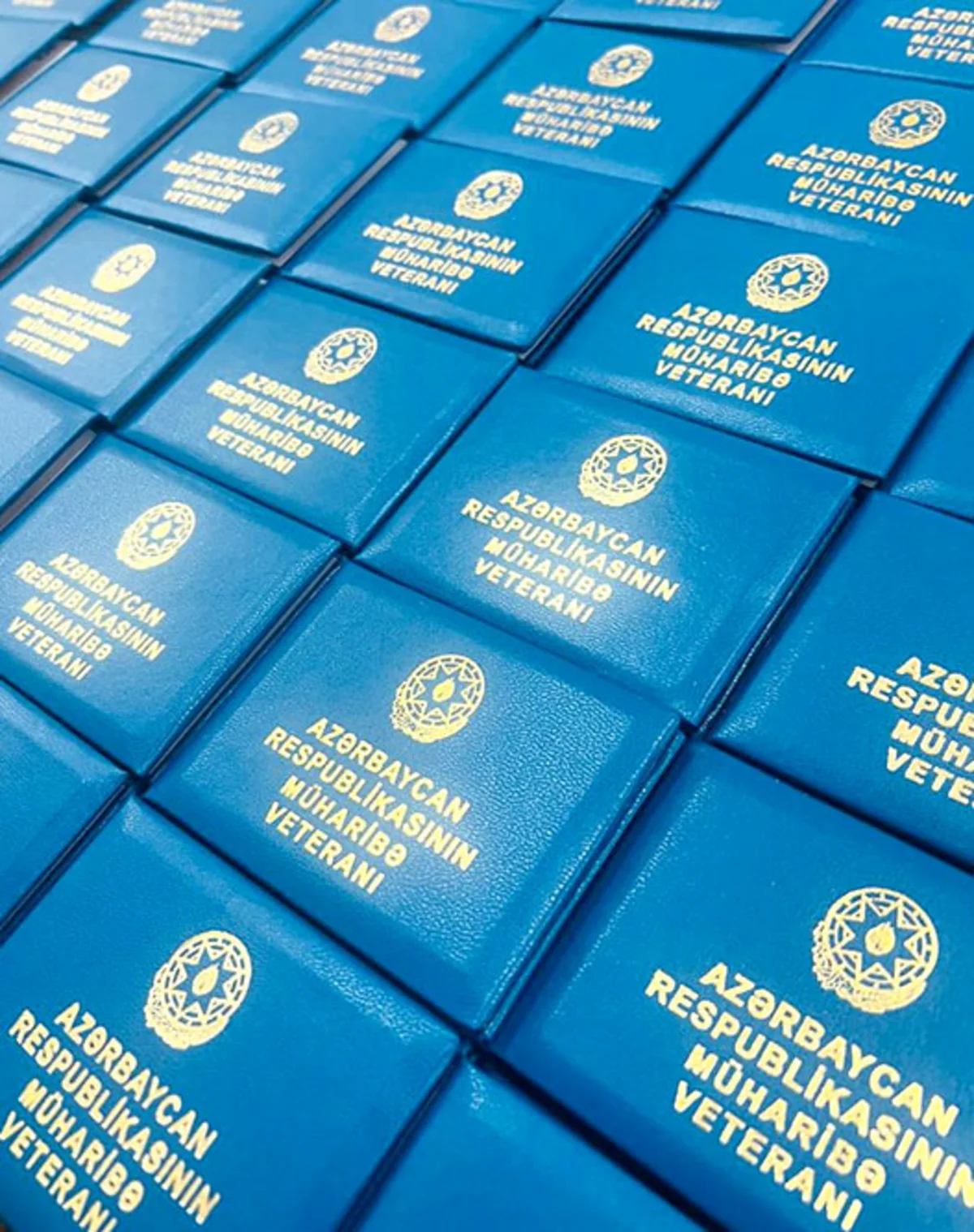 Vətən müharibəsi iştirakçılarından 84 423-nün adı Zəfər altsisteminə daxil edilib, 1042-sinə imtina verilib