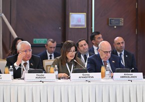 Günay Əfəndiyeva: Azərbaycan, Qazaxıstan, Qırğızıstan və Türkiyə təhsil sahəsində ortaq dil və dəyərlərlə hərəkət etməlidir