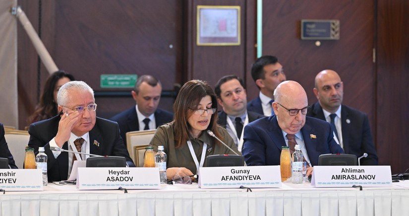 Günay Əfəndiyeva: Azərbaycan, Qazaxıstan, Qırğızıstan və Türkiyə təhsil sahəsində ortaq dil və dəyərlərlə hərəkət etməlidir