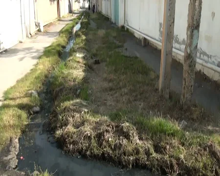 Kürdəmirin mərkəzi küçəsinin mövsümi qonaqları: yayda üfunət, qışda sel suları - REPORTAJ