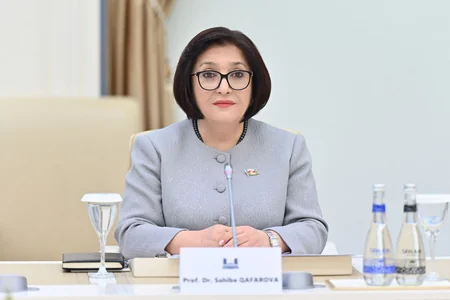 Chairs of Azerbaijani, Lithuanian parliaments mull prospects for co-op development