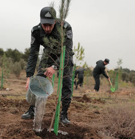 Azərbaycan polisi bir gündə 11 400 ağac əkib
