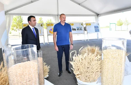 Ilham Aliyev gets acquainted with activities of Agsu Agropark