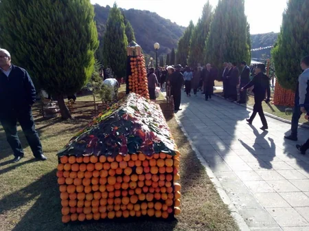 Balakəndə ikinci Beynəlxalq Xurma Festivalı keçirilir - FOTO - VİDEO