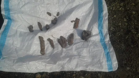 İyulda 168 partlamamış hərbi sursat zərərsizləşdirilib