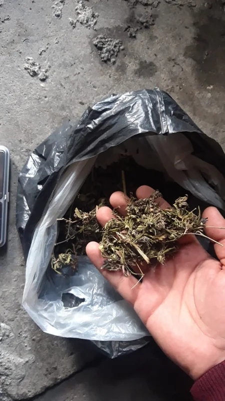 Zaqatalada evində narkotik gizlədən keçmiş məhkum saxlanılıb