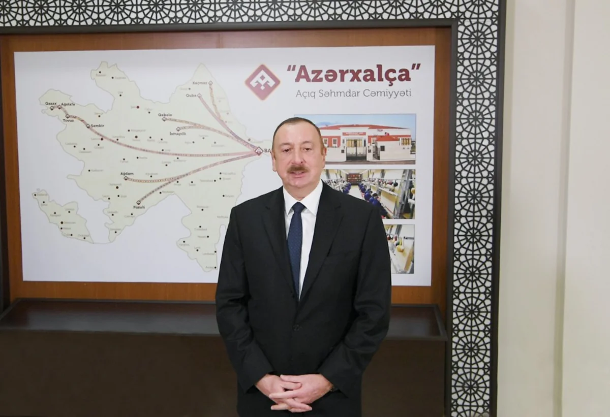 Prezident: “Gələn ilin sonuna qədər artıq 30 xalça fabriki işə düşəcək”