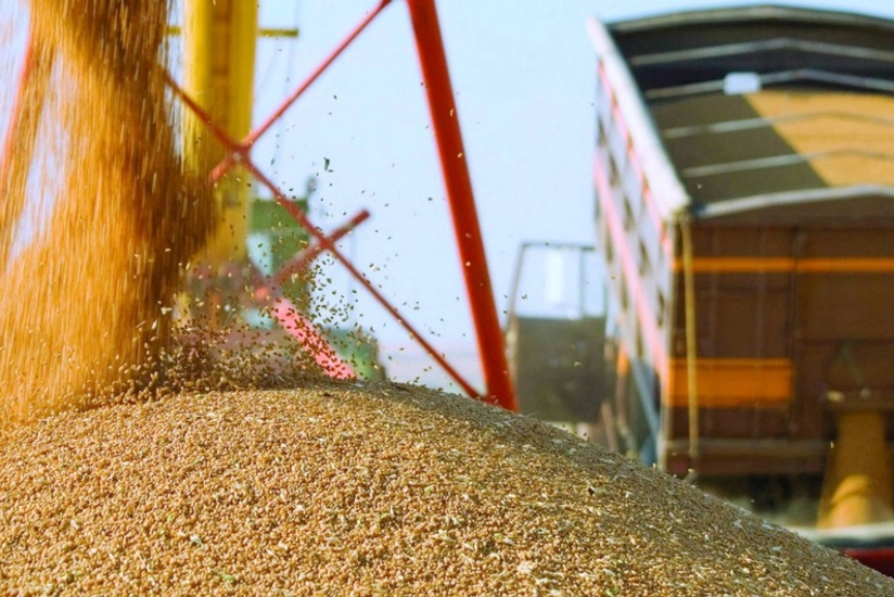 KTZ dekabrda Azərbaycana 100 min tondan çox taxıl tədarük edib