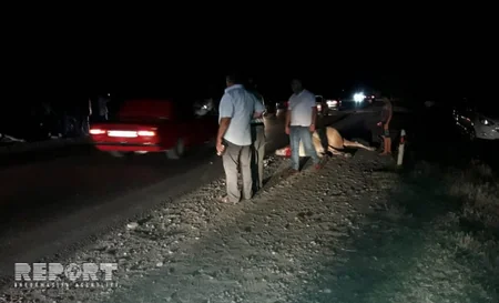 Ağstafada maşın iribuynuzlu heyvanı vuraraq öldürüb - FOTO