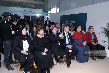 COP29 çərçivəsində Ermənistanın dağ-mədən sənayesinin Cənubi Qafqazın ekologiyasını zəhərləməsi barədə müzakirə keçirilib - YENİLƏNİB-2