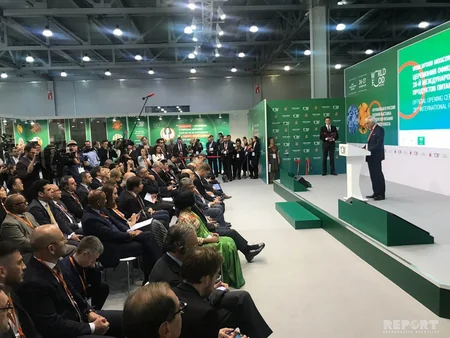 Polad Bülbüloğlu: Azərbaycan tarixən Rusiyanın ənənəvi ticarət tərəfdaşıdır