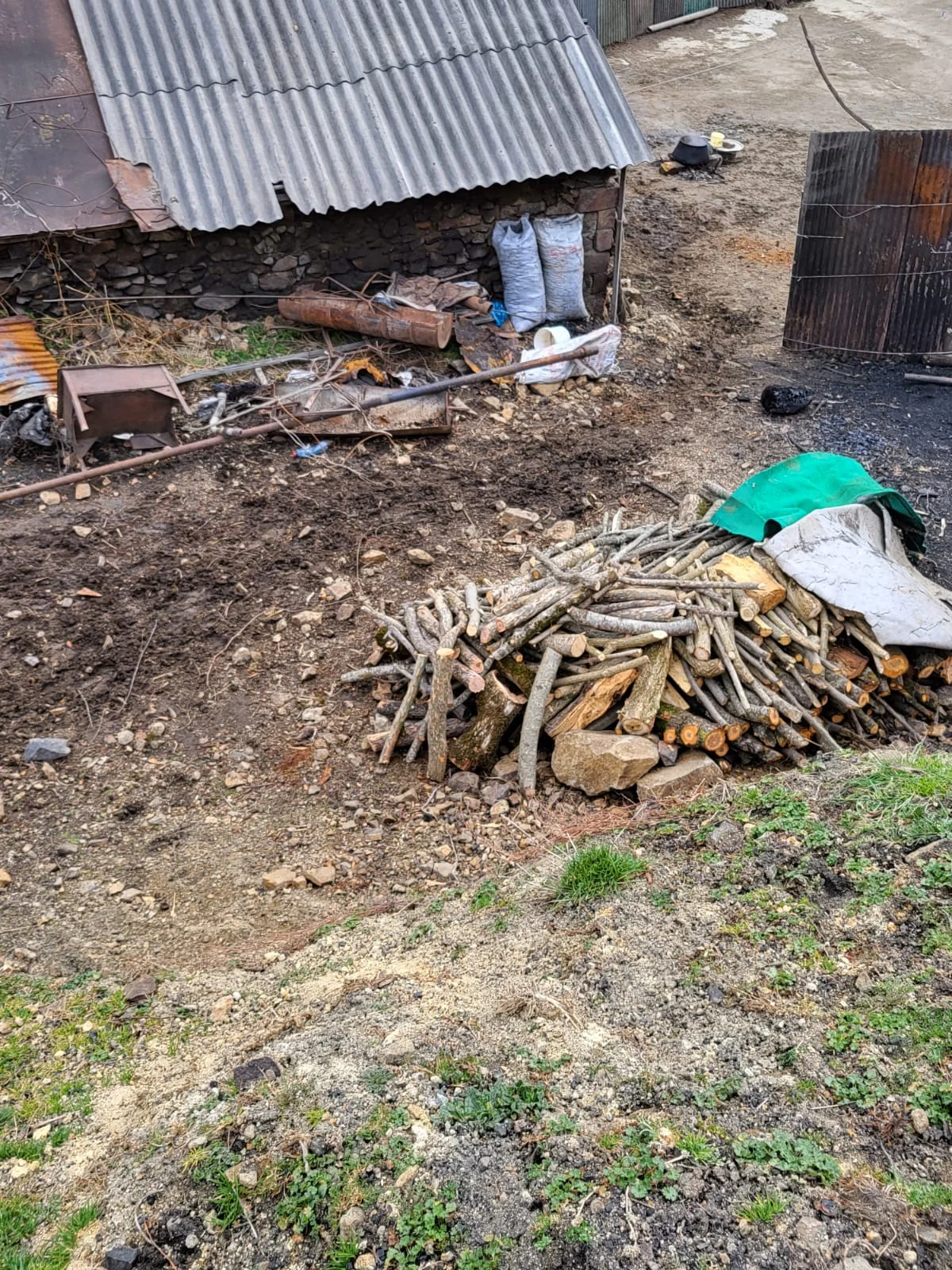Qəbələ və Göygöldə qanunsuz ağac kömürü istehsal edən quyular aşkarlanıb