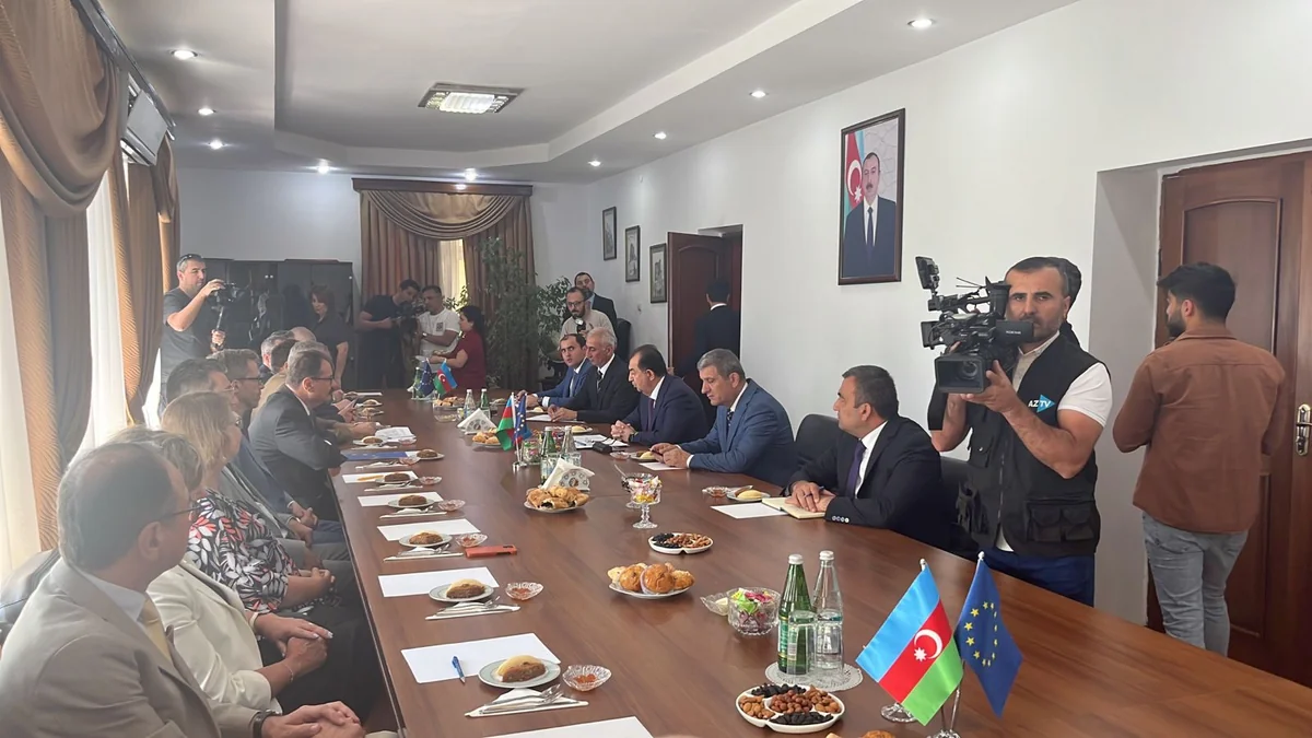 Aİ ölkələrinin səfirləri Lənkəranın icra başçısı ilə görüşüblər