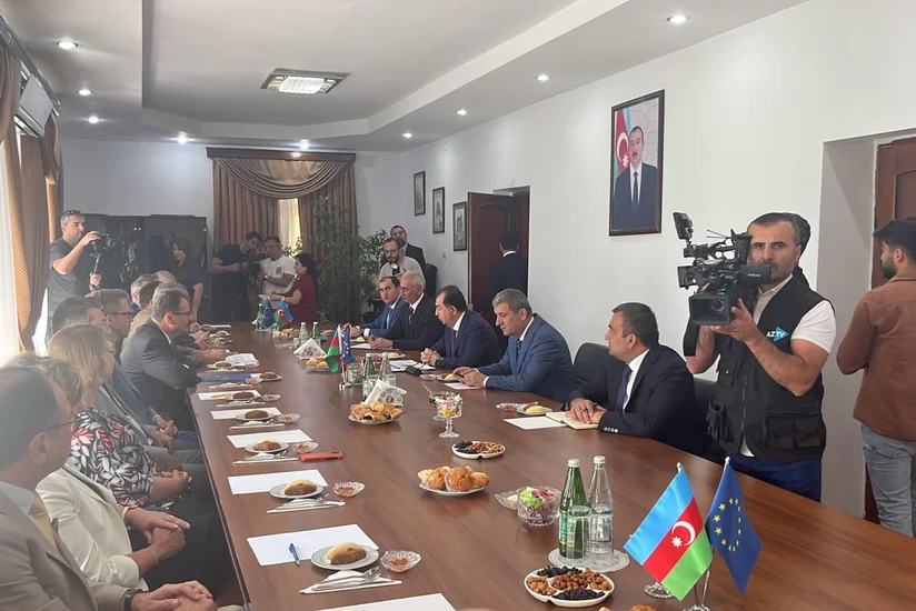 Послы стран ЕС встретились с главой исполнительной власти Лянкярана