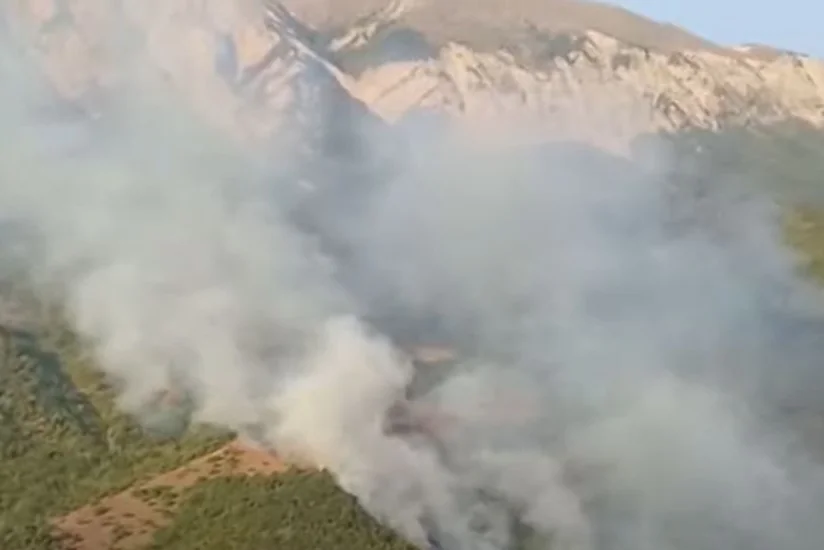 FHN: Qəbələdə yanğınla mübarizə tədbirləri davam etdirilir