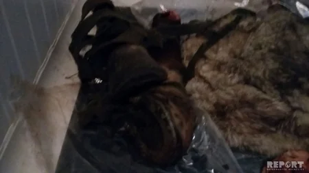 Bərdədə 110 kilo at əti satışının qarşısı alınıb - FOTO