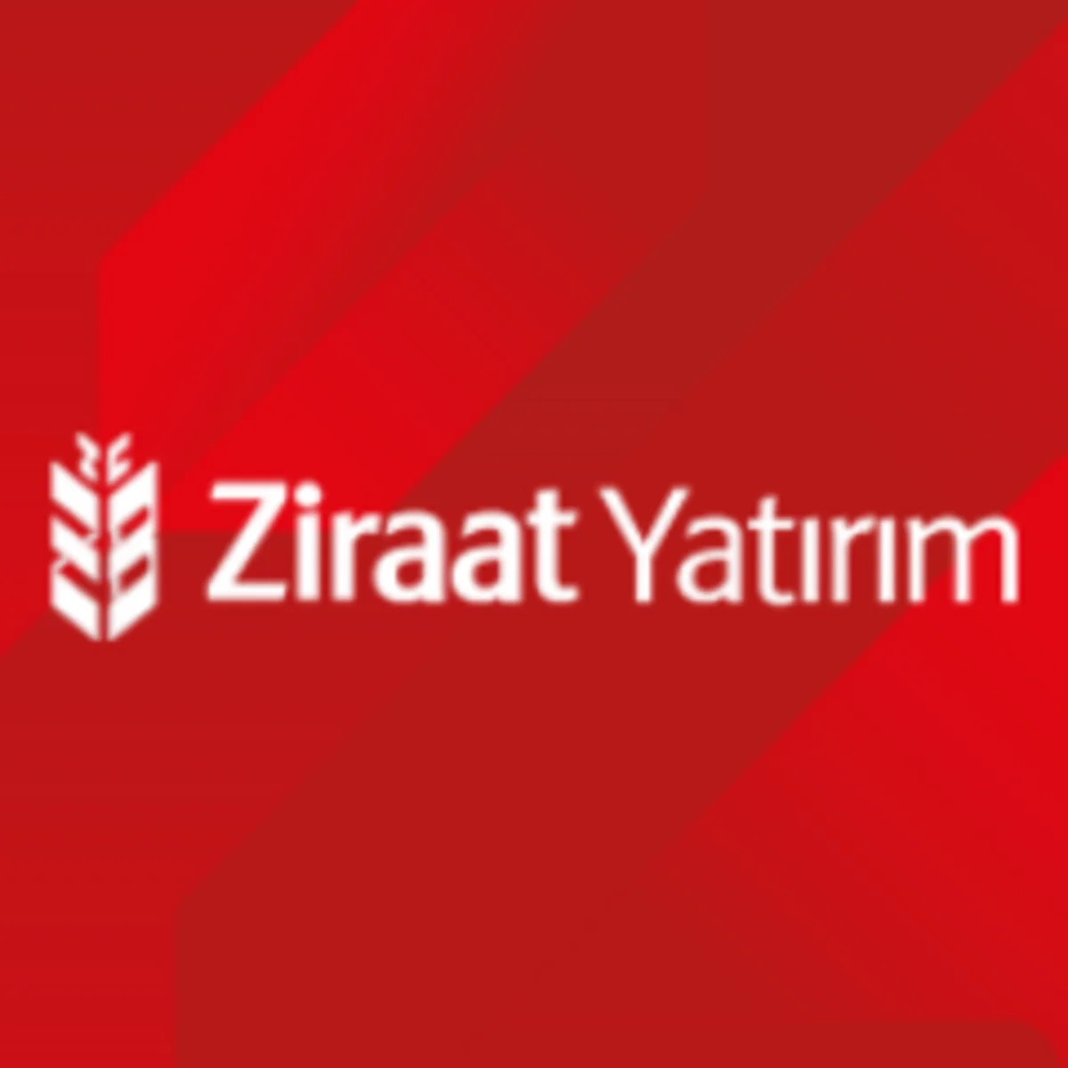 Ziraat Yatırım Petkimin səhmlərinin hədəf qiymətini 11% artırıb
