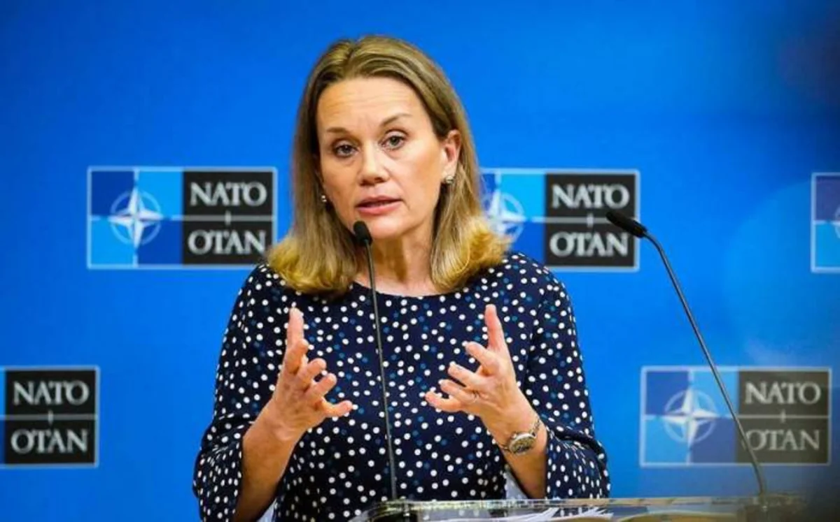 US permanent rep: NATO still not ready to invite Ukraine to alliance