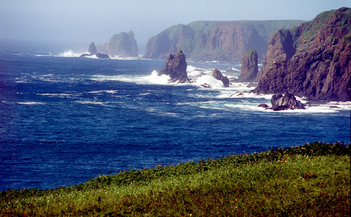 Kuril adalarının sahilində zəlzələ olub