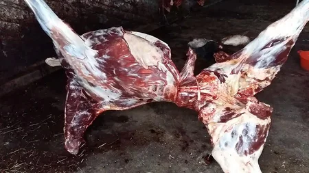 DBNX: Cəlilabadda at kəsimi ilə məşğul olan şəxs qanunsuz əməlini yenidən davam etdirib