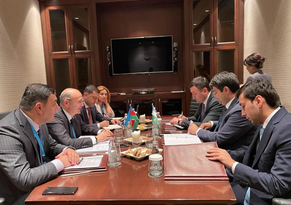 Azərbaycan və Özbəkistan enerji əməkdaşlığına dair Yol Xəritəsini müzakirə edib