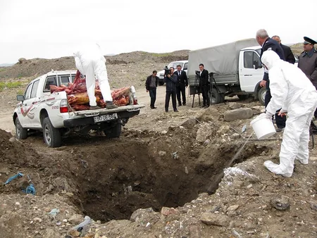 Bakıda 1,1 ton yararsız mal əti məhv edilib
