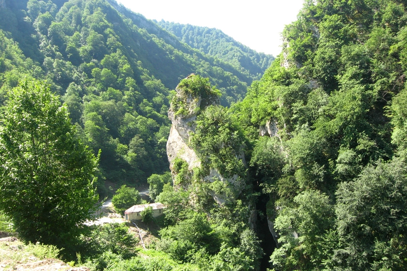 Стартовала международная кампания Защитим леса Карабаха!