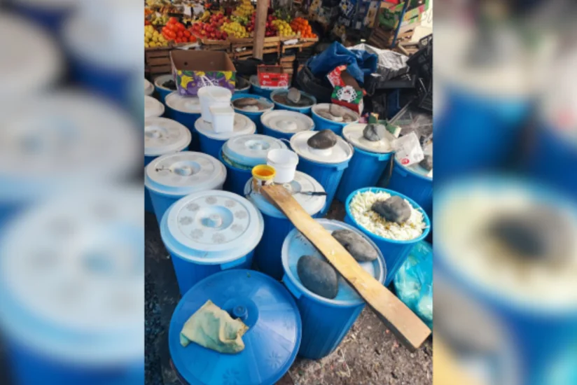 Bərdədə bazarda yoxlama keçirilib, inzibati protokol tərtib edilib