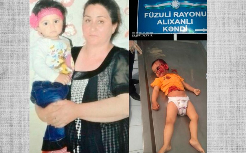 Gürcüstan deputatları ermənilərin Dağlıq Qarabağdakı təxribatlarını qətiyyətlə pisləyirlər - SORĞU