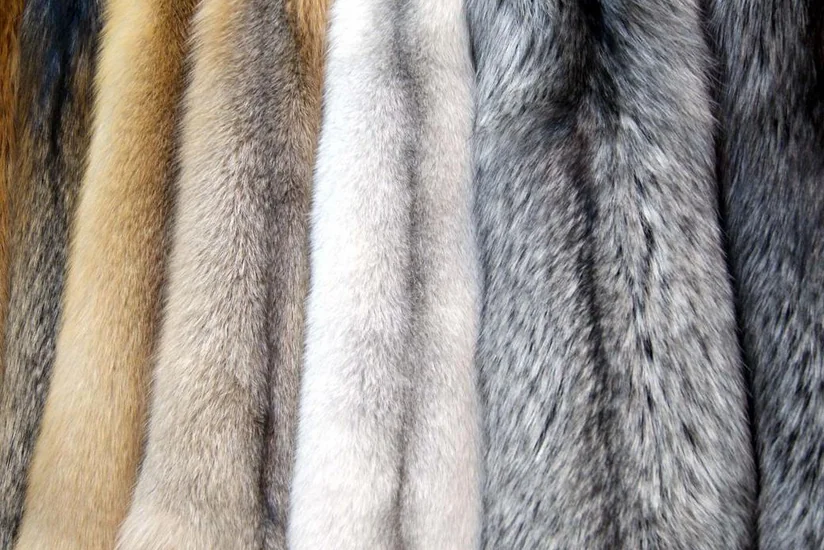 Azərbaycan təbii və süni xəz məmulatların idxalını 5 dəfədən çox azaldıb