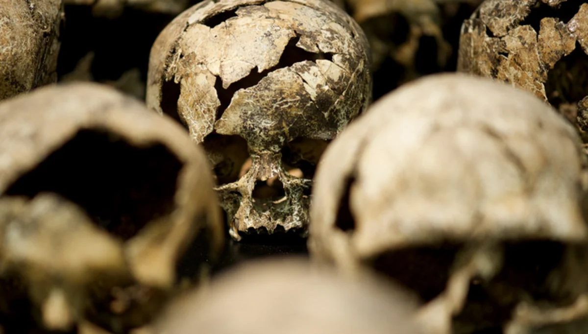 Meksikada 250-dən çox insanın kəllə sümüyü tapılıb