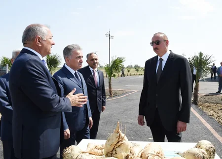 Prezident İlham Əliyev Cəlilabadda “Günəşli-Aqro” MMC-nin aqroparkında yaradılan şəraitlə tanış olub