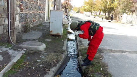 Gəncədə əl qumbarası tapılıb