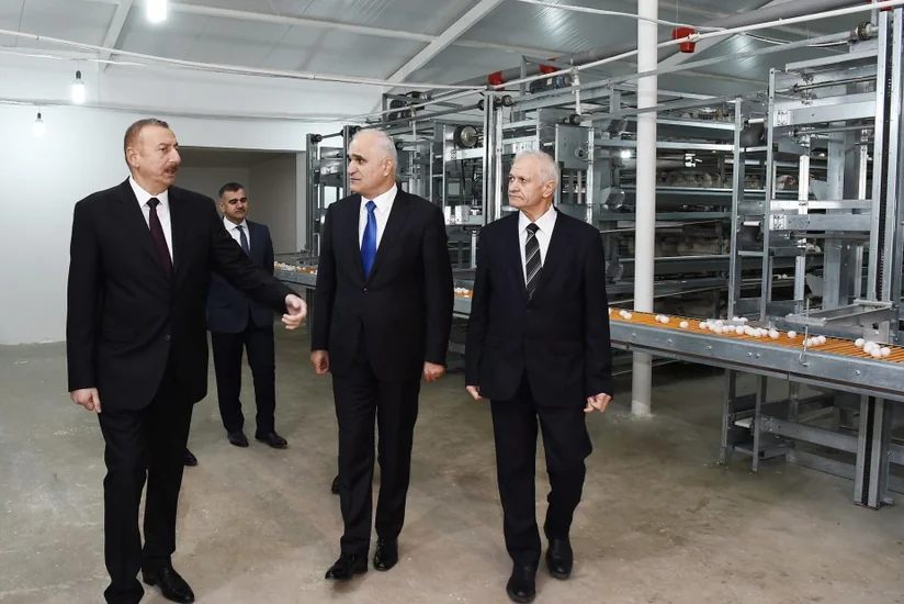 Prezident İlham Əliyev Sabirabad rayonunda quşçuluq fabrikinin fəaliyyəti ilə tanış olub