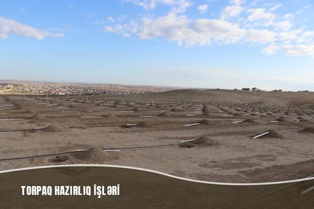 Müşfiqabadda son bir ayda 16 mindən artıq ağac əkilib