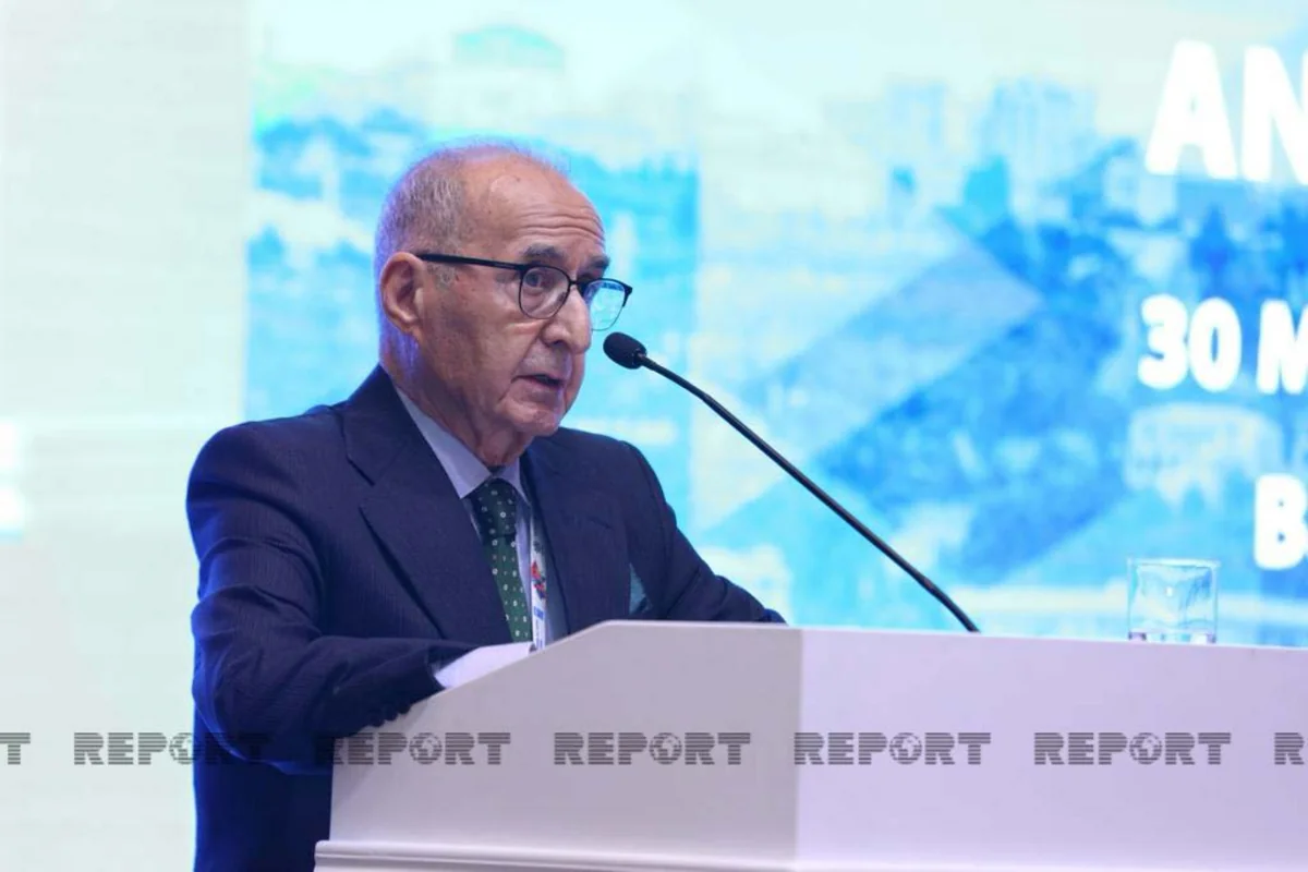 Hikmət Çətin: “Minalar birgə həll tələb edən beynəlxalq problemdir”