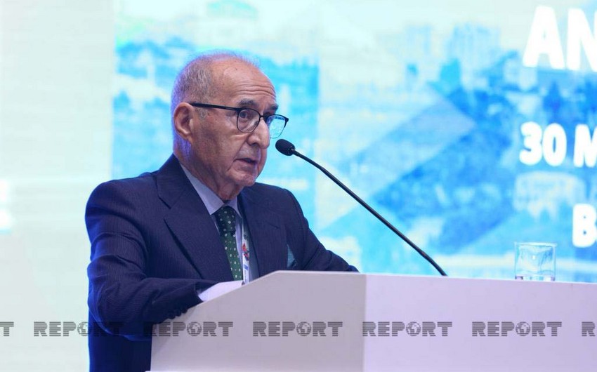 Hikmət Çətin: “Minalar birgə həll tələb edən beynəlxalq problemdir” 