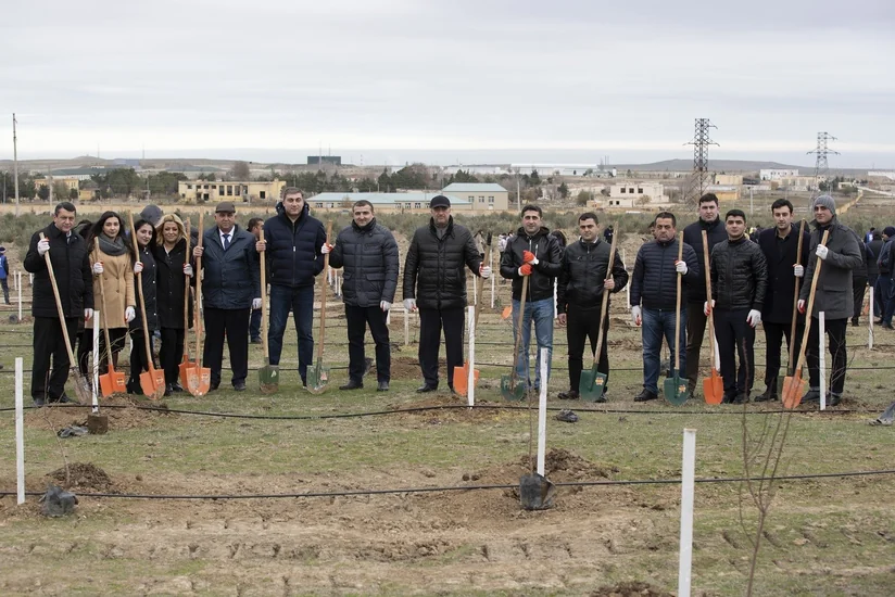 Kənd Təsərrüfatı Nazirliyi ağacəkmə kampaniyasına qatılıb