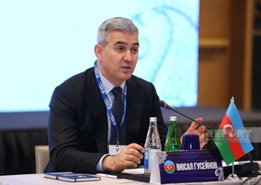 Vüsal Hüseynov: Azərbaycanda mütərəqqi miqrasiya idarəçiliyi modeli formalaşdırılıb