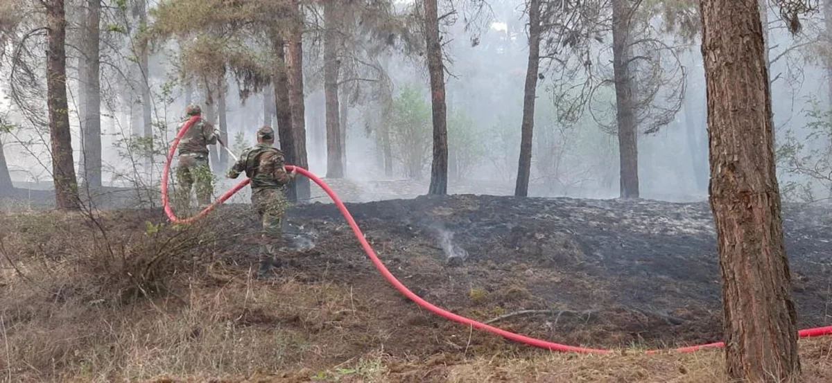 Ağsuda yanğının söndürülməsi istiqamətində işlər davam etdirilir - VİDEO