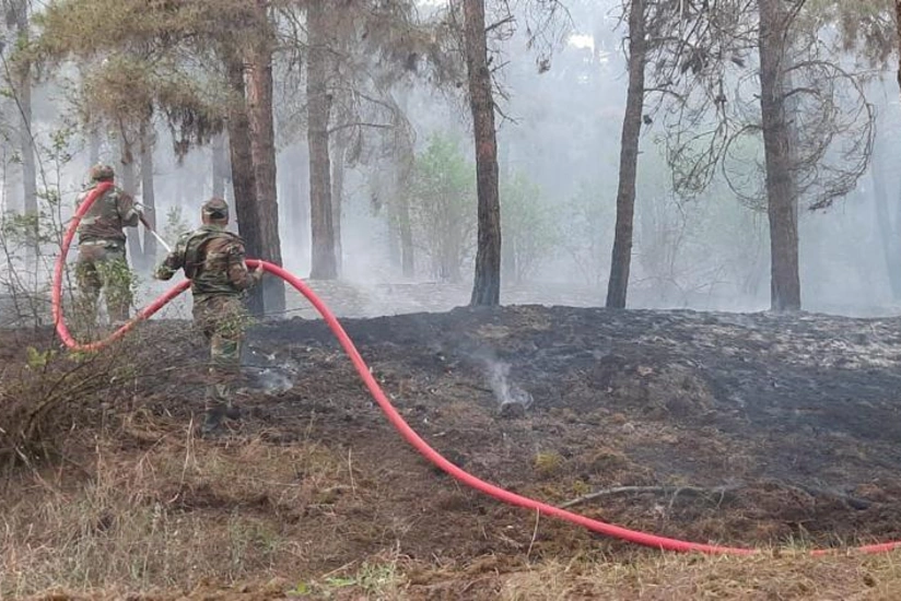 Ağsuda yanğının söndürülməsi istiqamətində işlər davam etdirilir - VİDEO