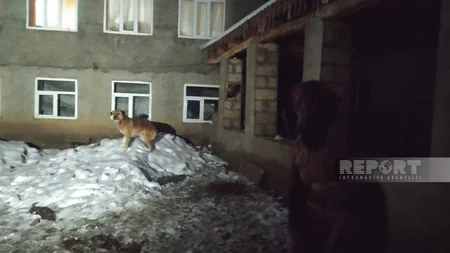 Gədəbəydəki qətlin bəzi təfərrüatları məlum olub, saxlanılan var - YENİLƏNİB