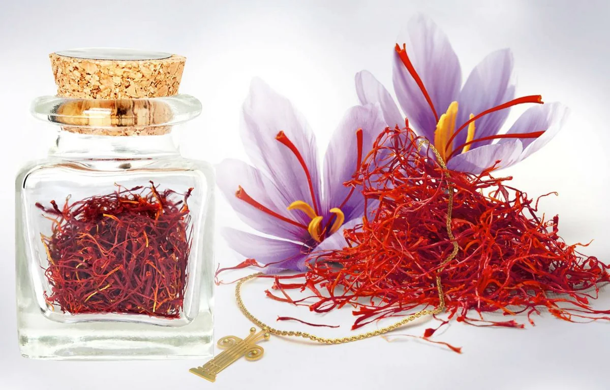 Azərbaycanda ilk dəfə zəfəran qablaşdırılmasına başlanılır