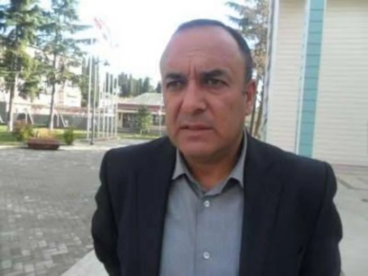 Gürcüstanın ana müxalifət partiyası parlamentdə təmsil olunacaq
