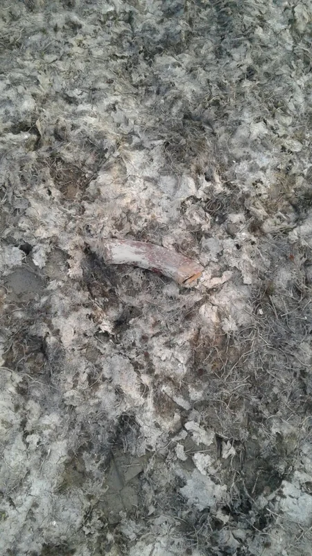 Gədəbəydə 33 ədəd müxtəlif tipli hərbi sursat aşkar edilib - FOTO